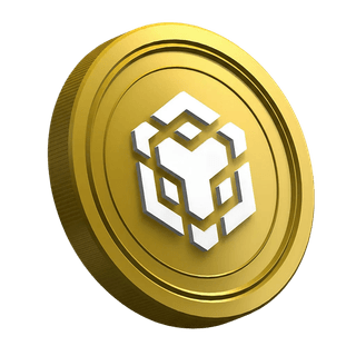Criptomoneda BNB dentro de la página de la guía para traders principiantes